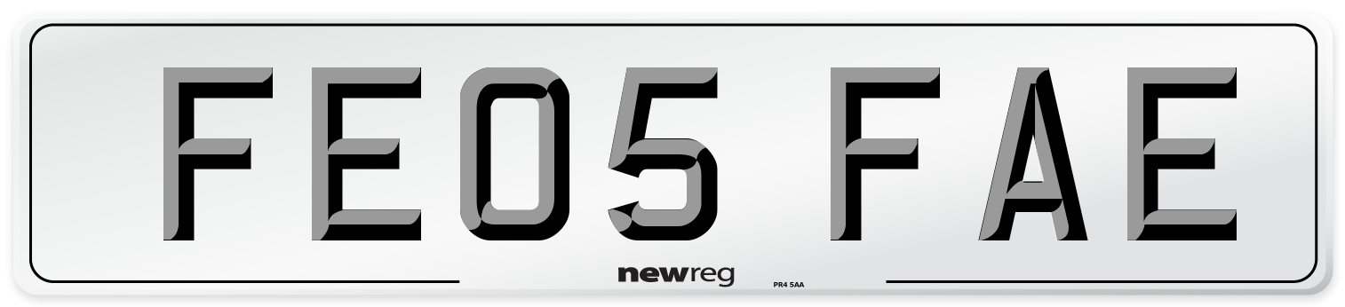 FE05 FAE Number Plate from New Reg